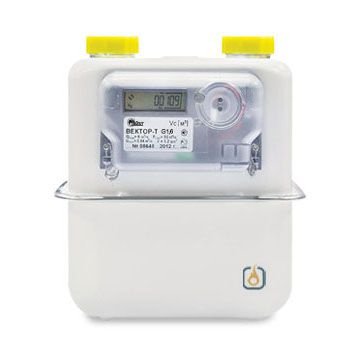 Газовый счетчик Вектор-T G2.5 фото 1